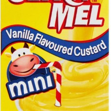 Danone Ultra Mel Vanilla Flavoured Custard 125 ml  (Pack of 24)